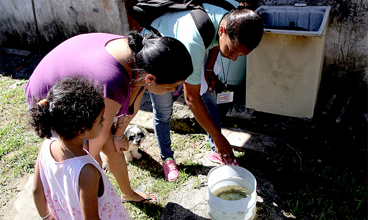 Período chuvoso aumenta o alerta contra o mosquito Aedes aegypti