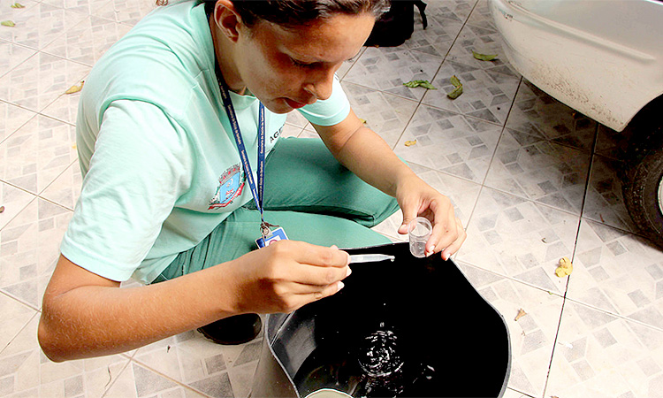 Mutirão Dengue