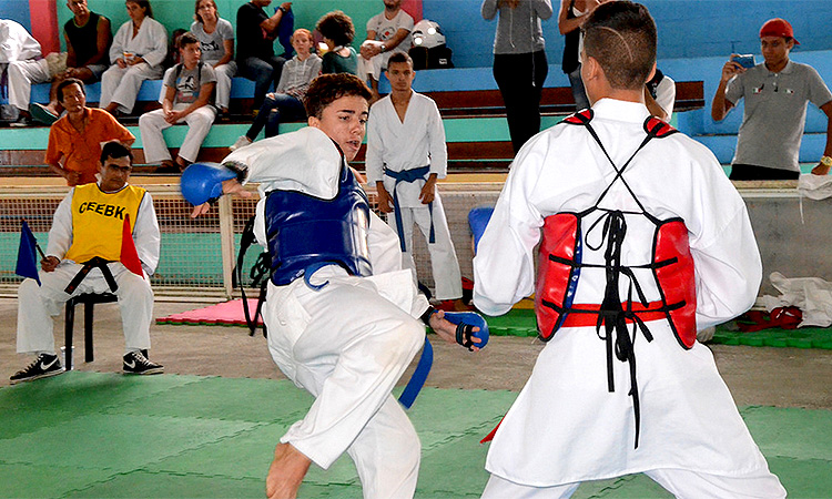 Campeonato de Karate