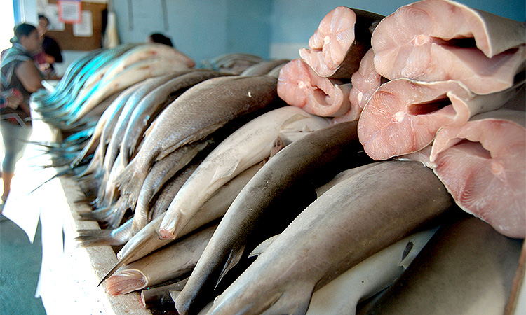 Peixes