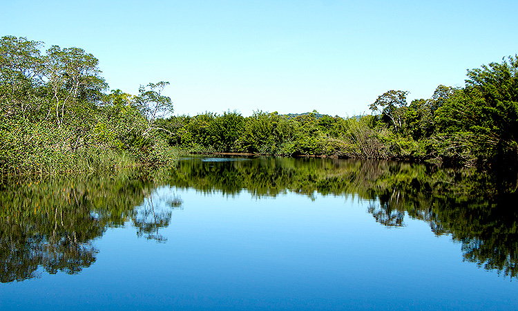Rio Itanhaém