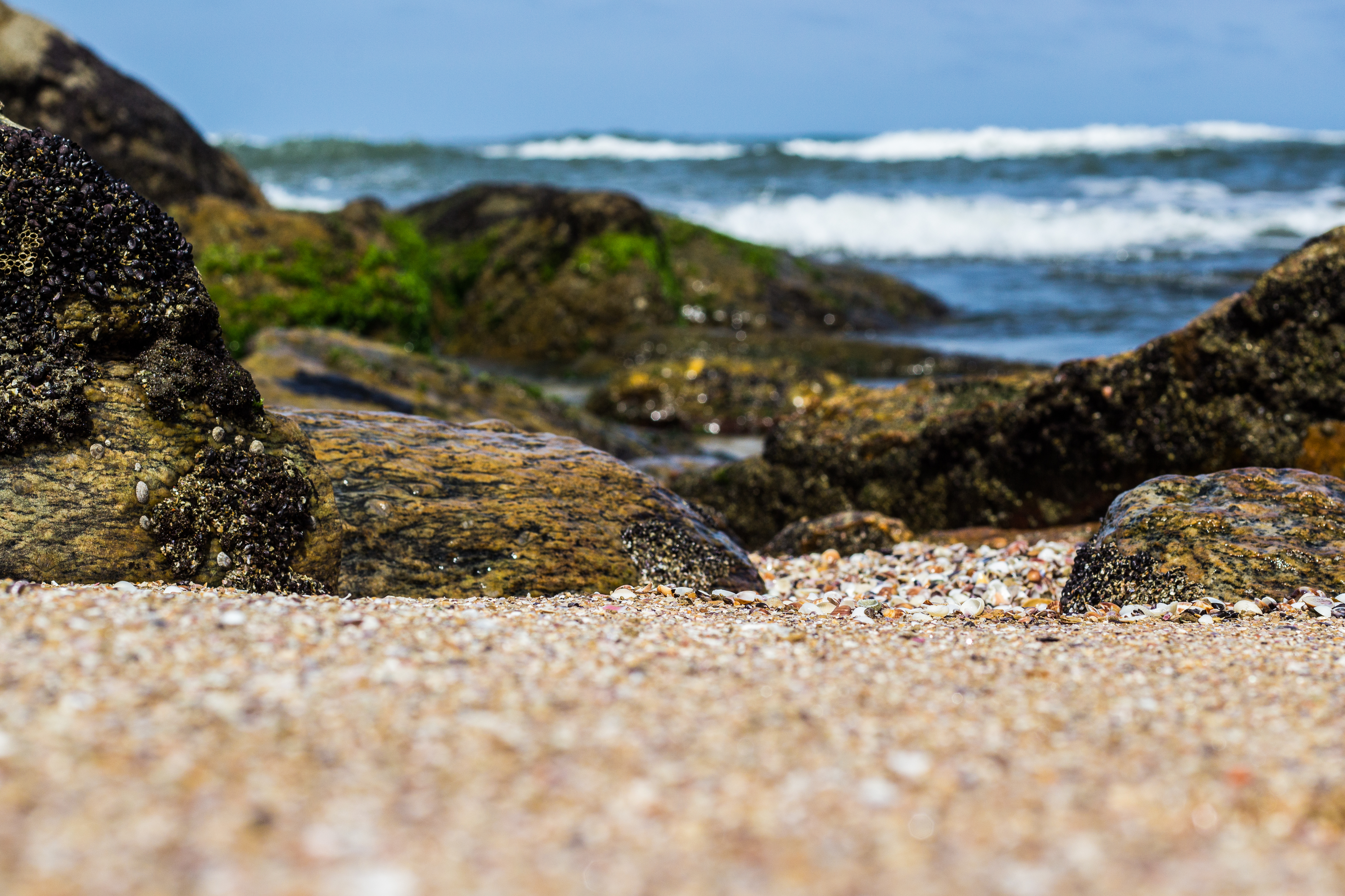 imagem da praia das conchas
